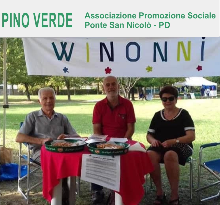 Festa delle Associazioni anni precedenti